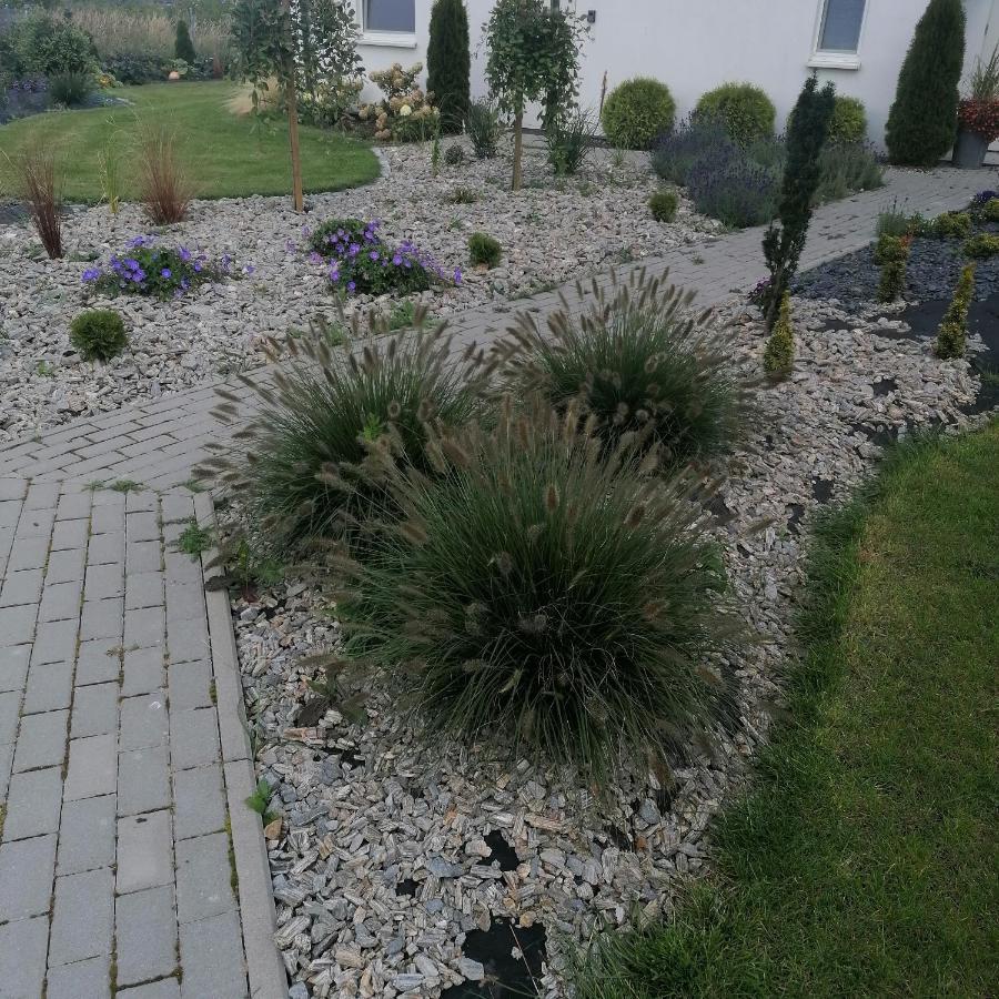 Lawendowe Wzgórze Vila Zastan Exterior foto
